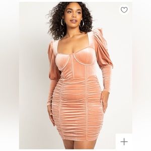 NWT Eloquii Velvet Dress